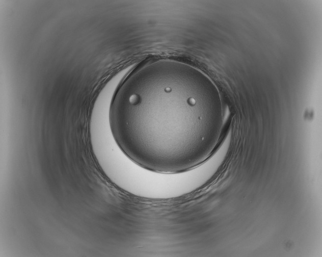 X0000091001202200708161931