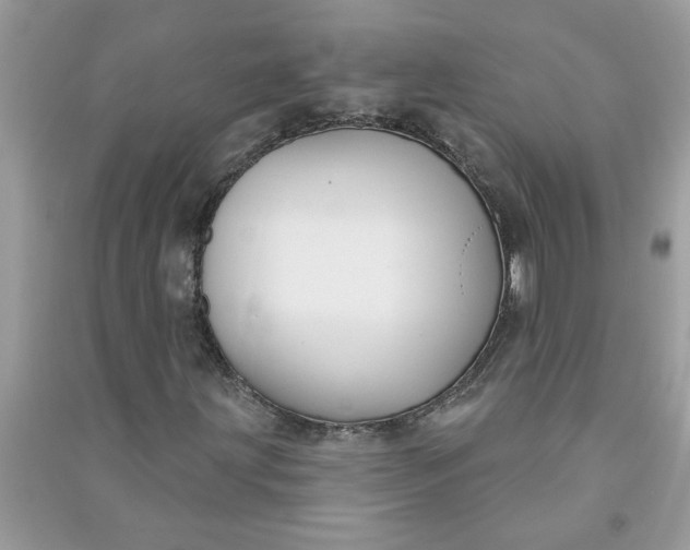 X0000091001203200708161931