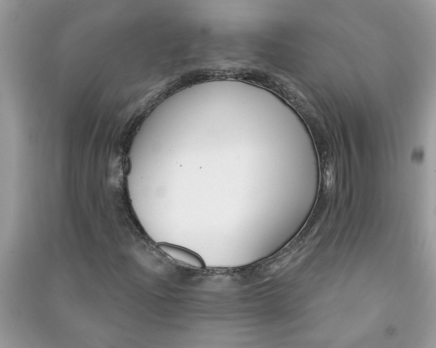 X0000091001204200708161931