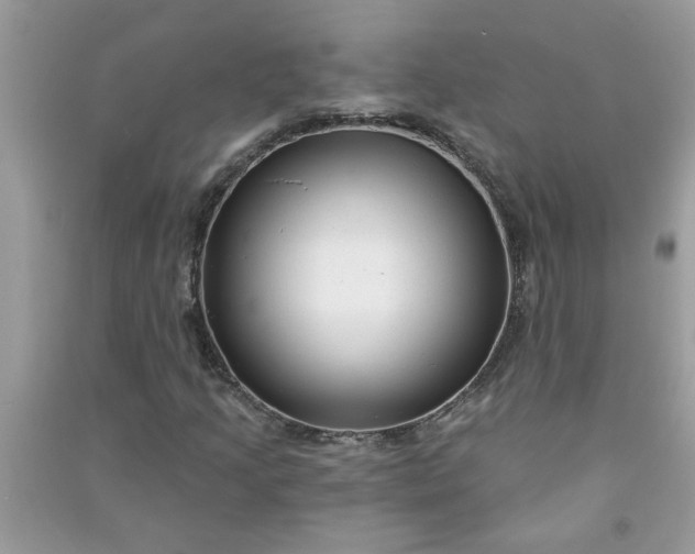 X0000091001205200708161931