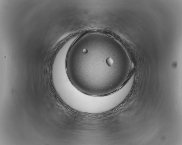 X0000091001206200708161931