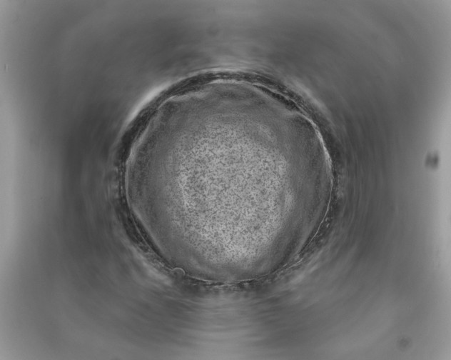 X0000091001208200708161931
