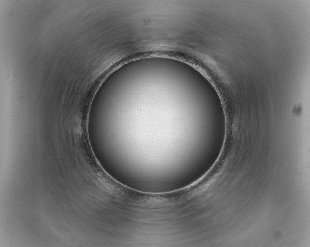 X0000091001209200708161931