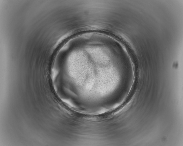 X0000091001210200708161931