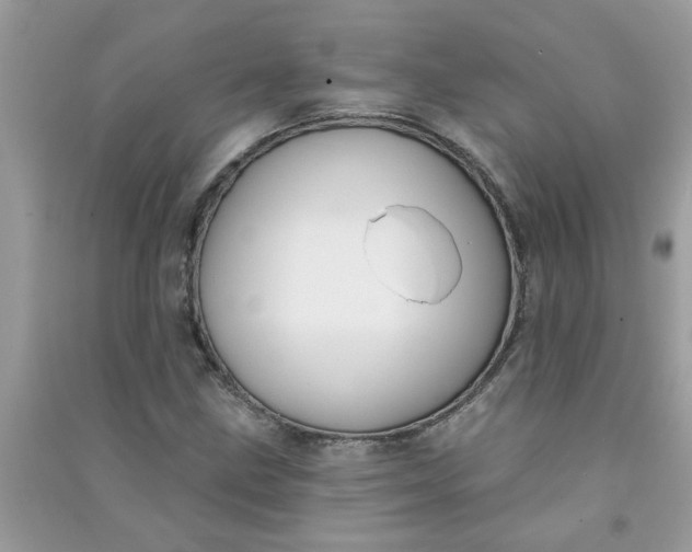 X0000091001211200708161931