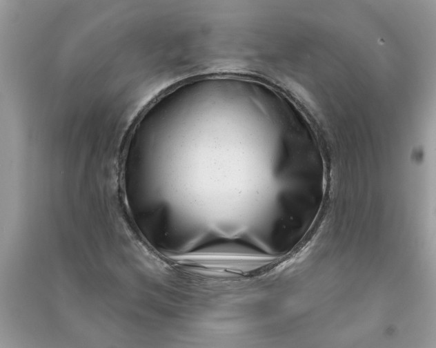 X0000091001212200708161931