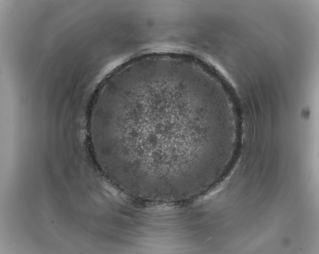 X0000091001213200708161931