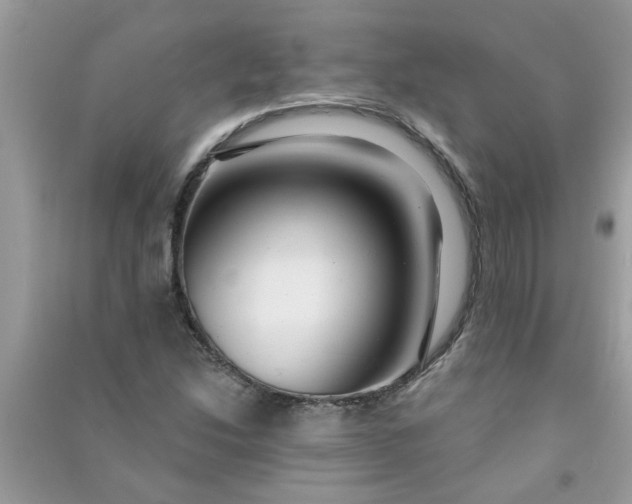 X0000091001214200708161931