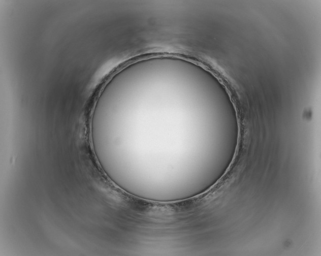 X0000091001215200708161931