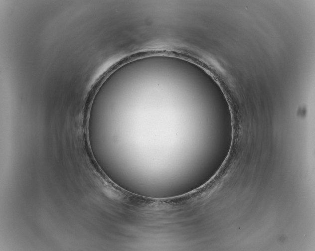 X0000091001216200708161931