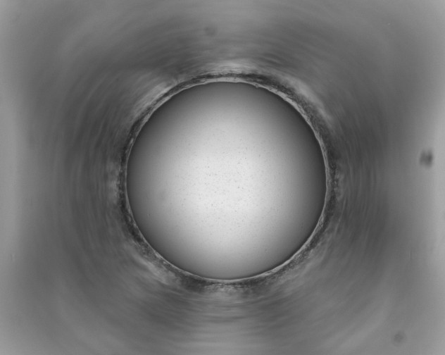 X0000091001217200708161931