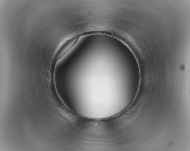 X0000091001218200708161931