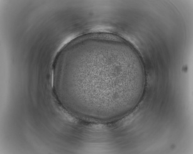 X0000091001219200708161931