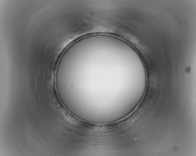 X0000091001220200708161931