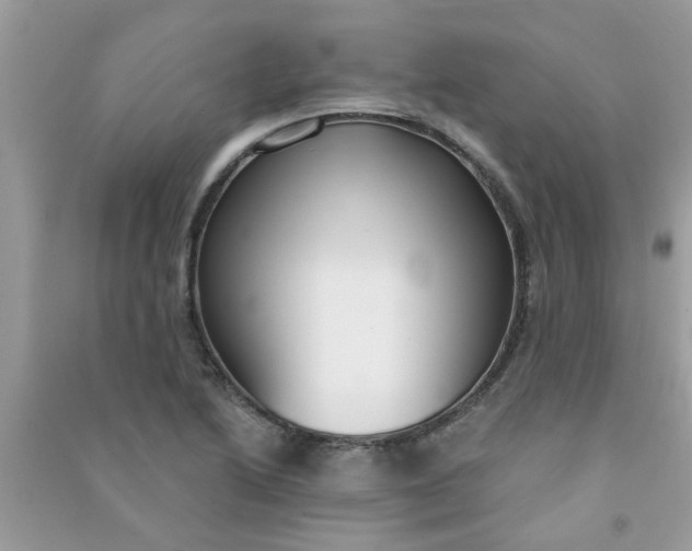 X0000091001222200708161931