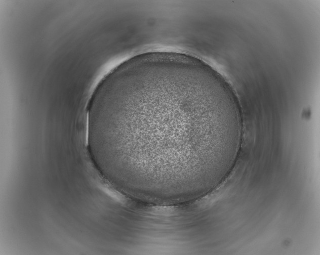 X0000091001223200708161931
