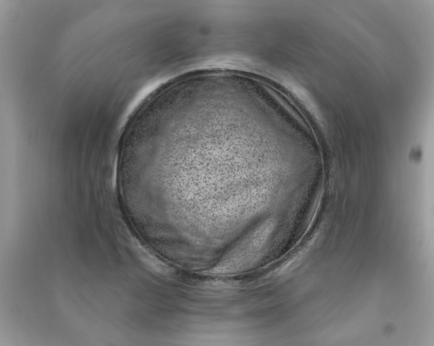 X0000091001224200708161931