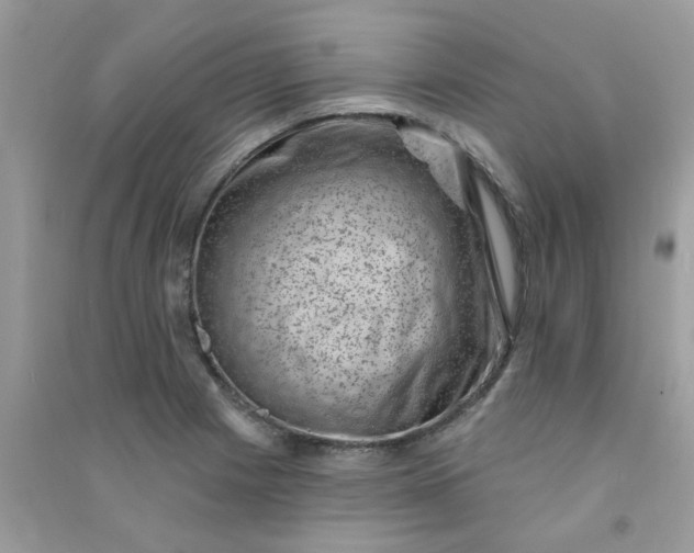 X0000091001225200708161931