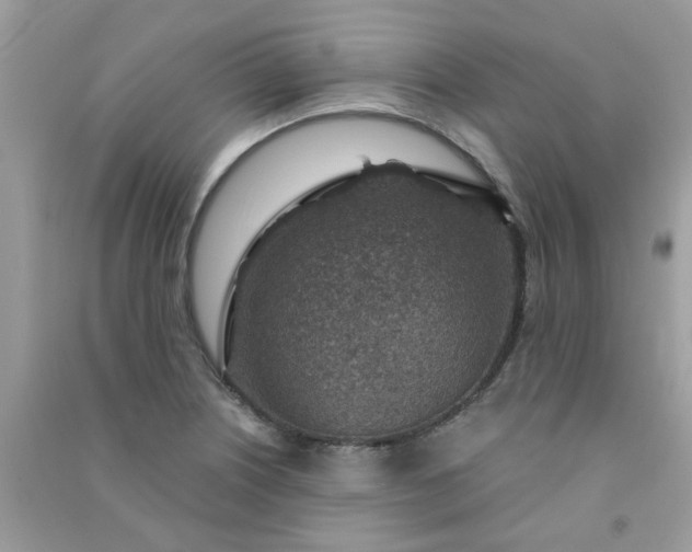 X0000091001226200708161931