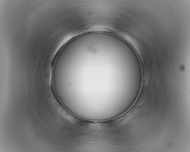 X0000091001227200708161931