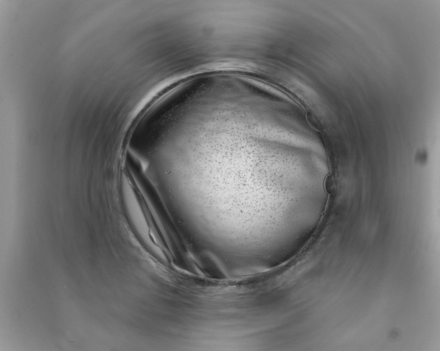 X0000091001228200708161931