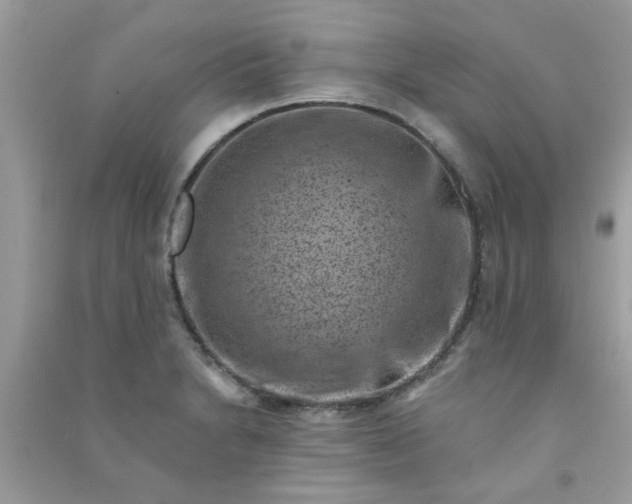 X0000091001230200708161931