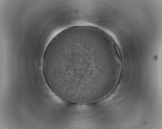 X0000091001231200708161931