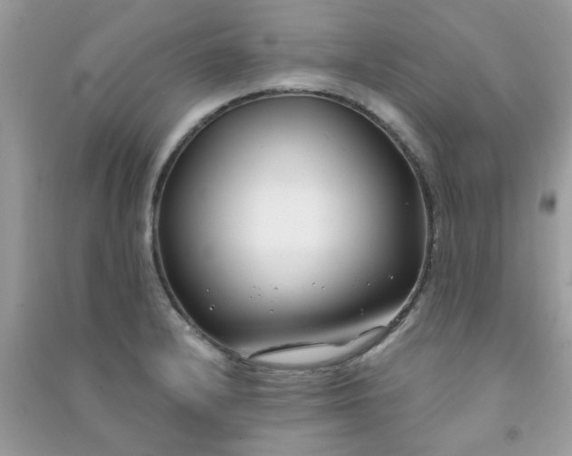 X0000091001232200708161931