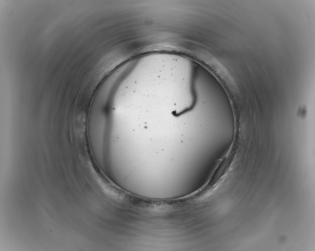X0000091001233200708161931