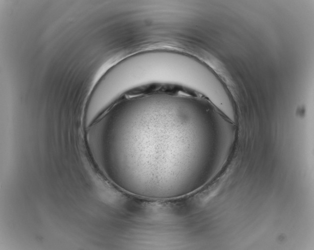 X0000091001234200708161931