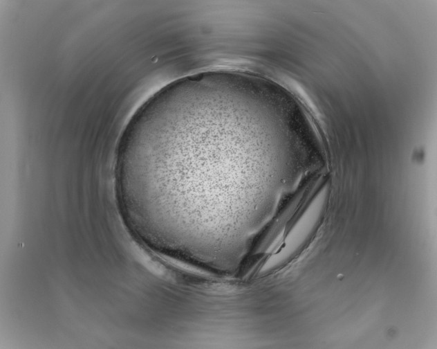 X0000091001235200708161931