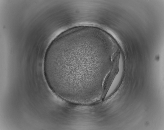 X0000091001237200708161931