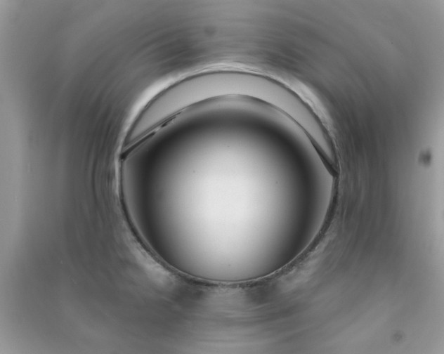 X0000091001238200708161931