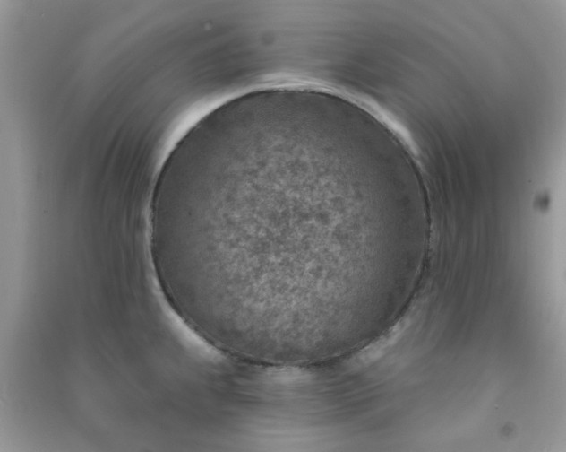 X0000091001239200708161931