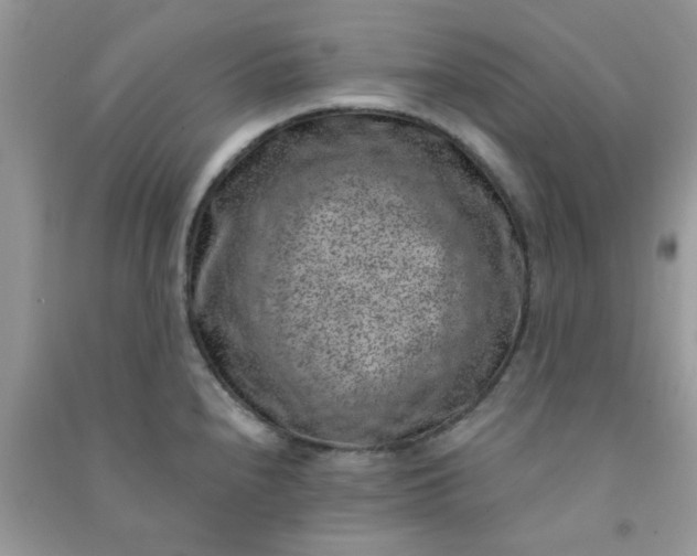 X0000091001240200708161931