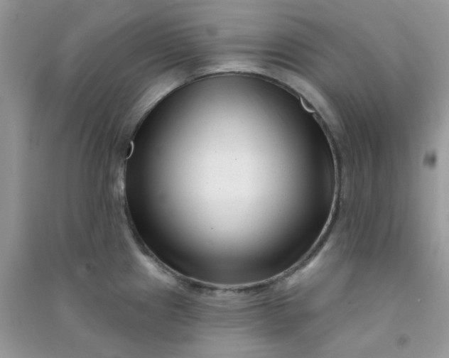 X0000091001241200708161931