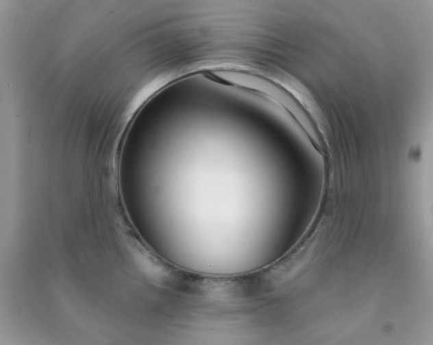 X0000091001242200708161931
