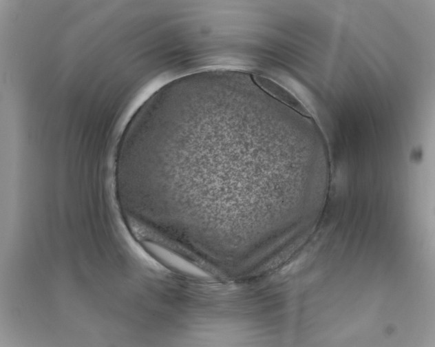 X0000091001243200708161931