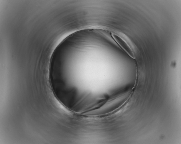 X0000091001244200708161931