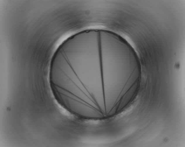 X0000091001245200708161931