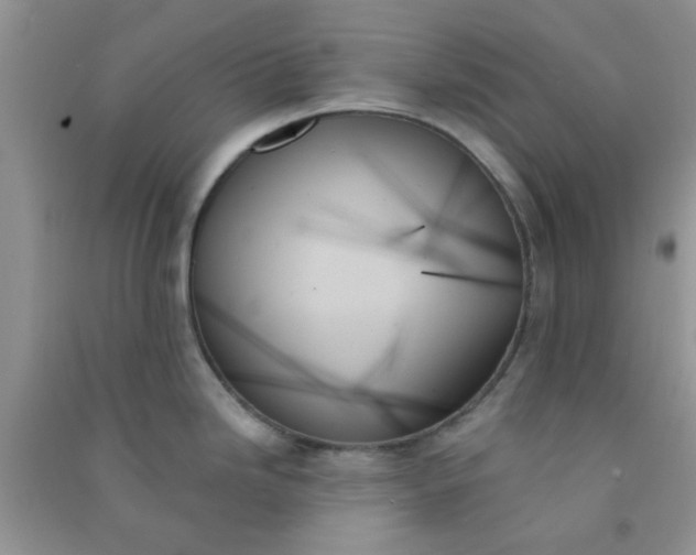 X0000091001246200708161931