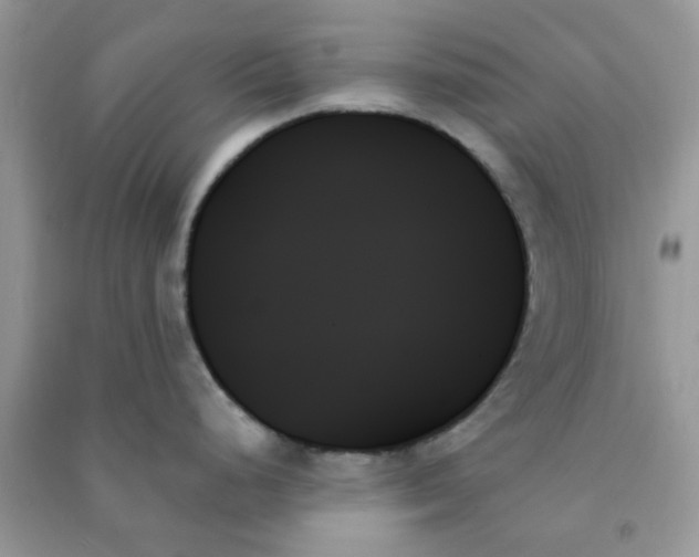 X0000091001248200708161931