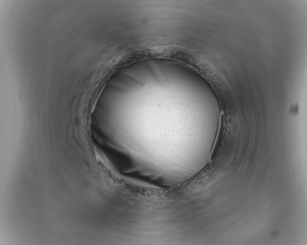 X0000091001249200708161931