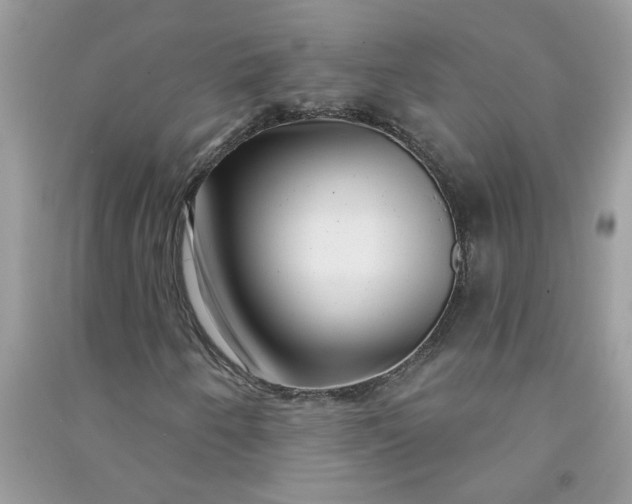 X0000091001250200708161931