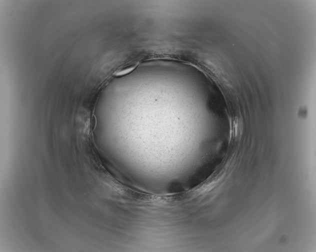 X0000091001251200708161931