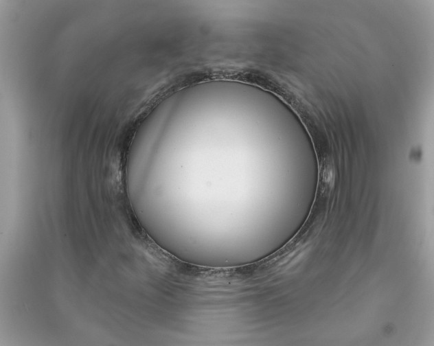 X0000091001252200708161931