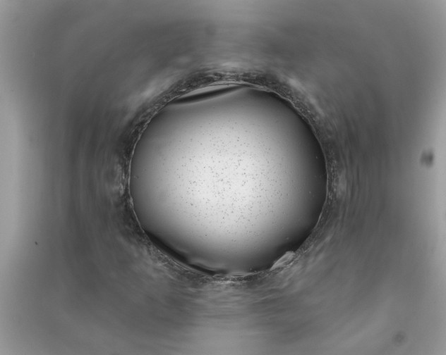 X0000091001253200708161931