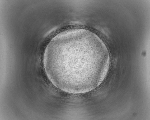 X0000091001254200708161931