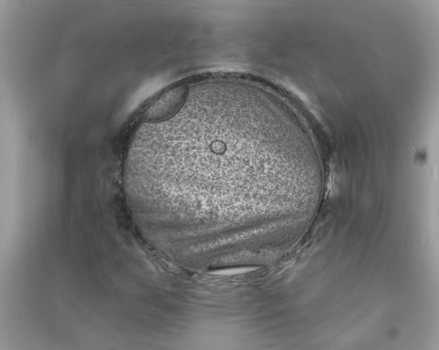 X0000091001255200708161931
