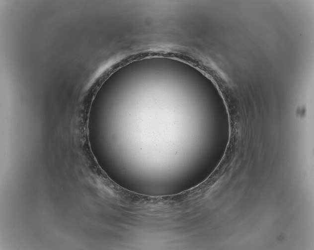 X0000091001256200708161931